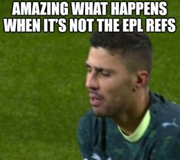 Epl refs memes
