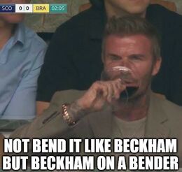 Bender memes