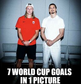 Cup goals in memes